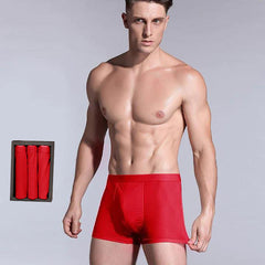 3 Pcs Men's Silk Boxer Briefs Underwear