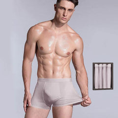 4 Pcs Men's Silk Boxer Briefs Underwear