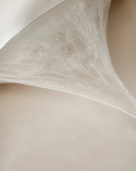 Mulberry Silk Pillow with Silk Shell