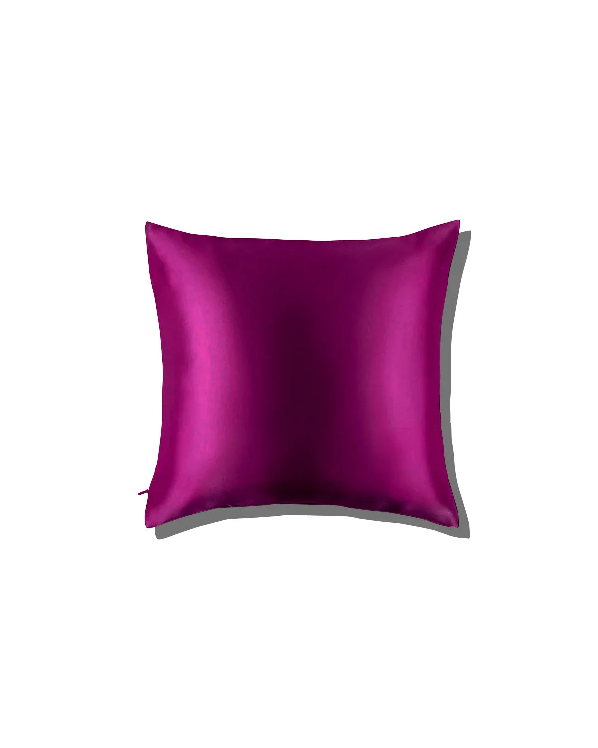 19 Momme Silk Euro Sham Pillowcase 26x26