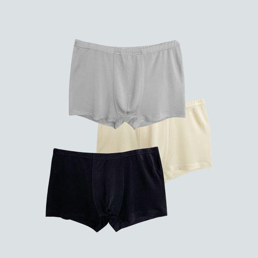 Skin-Friendly Men Boxer Panties